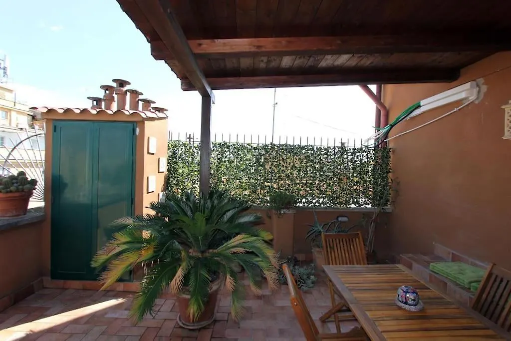Sacconi Flat-1
